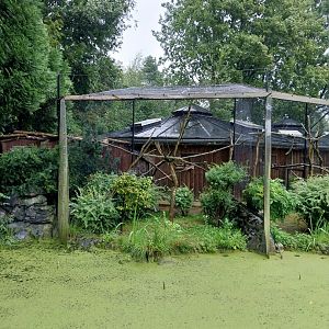 Callitrichidae House - Geoffroy's tufted-ear marmoset enclosure