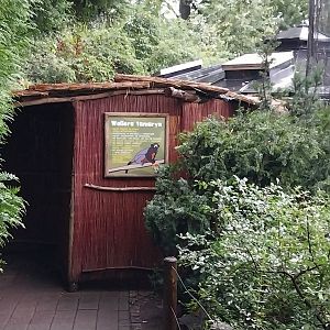 Callitrichidae House - Entrance to the rear side