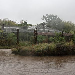 Native wetland aviary