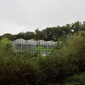 Krainę Bioróżnorodności (Tropical rainforest)