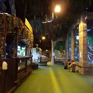 View inside the reptile house 12.4.24