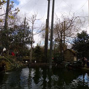 Birds of the world aviary 12.4.24