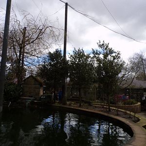 Birds of the world aviary 12.4.24