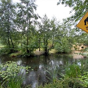 Gibbon House - Siamang island