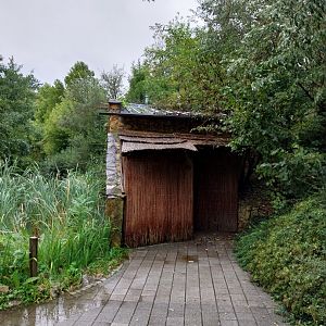 Gibbon House - Siamang