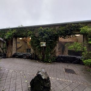 Primate House - Smallest gorilla enclosure