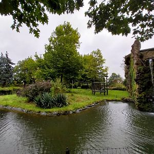 Primate House - Main gorilla enclosure