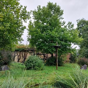 Primate House - Main gorilla enclosure