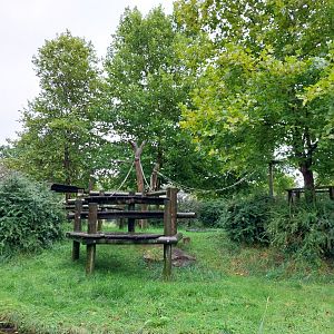 Primate House - Main gorilla enclosure