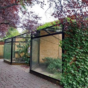 Primate House - Outside cages