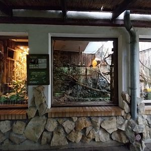 Primate House - White-faced saki enclosure