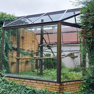 Primate House - Ring-tailed lemur enclosure