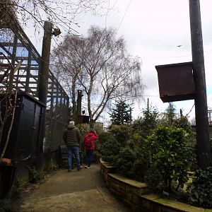 Birds of the world aviary 12.4.24