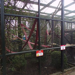 Black lemur enclosure 12.4.24
