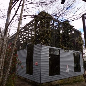 Lar gibbon enclosure 12.4.24