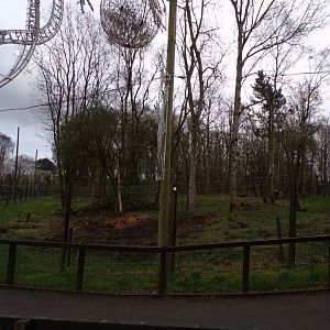 European brown bear enclosure 12.4.24