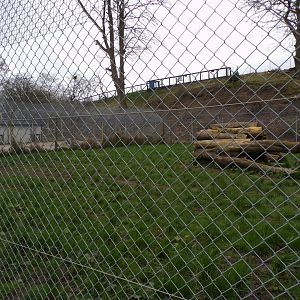 South African cheetah enclosure 12.4.24