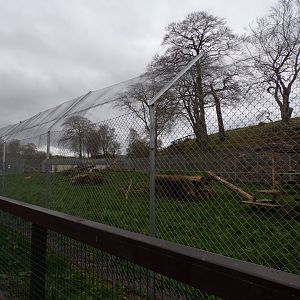South African cheetah enclosure 12.4.24