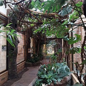 Primate House - General view