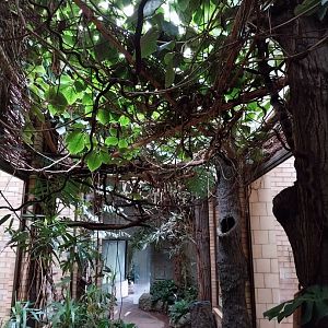 Primate House - General view