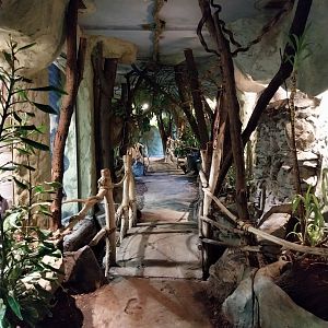 Primate House - General view