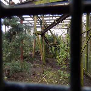 Scottish wildcat enclosure 12.4.24