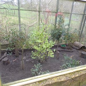 Second new eurasian badger enclosure 12.4.24
