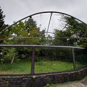 First jaguar enclosure