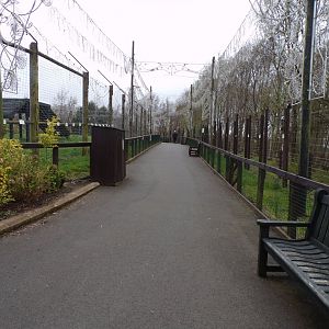 View along lion and wolf enclosures 12.4.24
