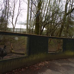 Emu enclosure 12.4.24