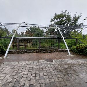 Second jaguar enclosure