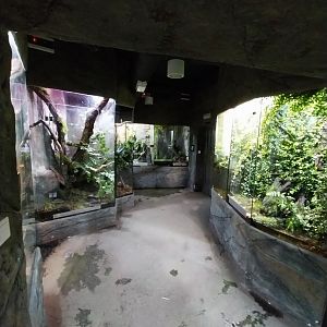 Reptile House - General view
