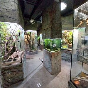 Reptile House - General view