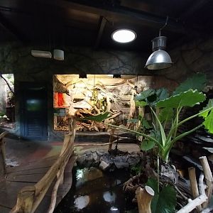 Reptile House - General view