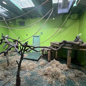 Drill indoors (0.5 version) 13.4.24