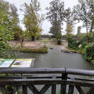 Vicunha - South American tapir exhibit