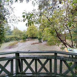 Vicunha - South American tapir exhibit