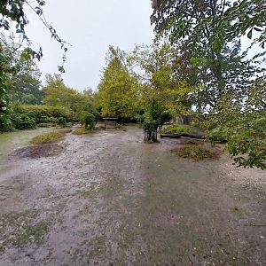 Vicunha - South American tapir exhibit