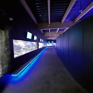 Aquarium - General view