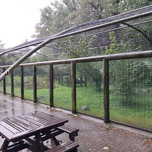 Snowleopard enclosure