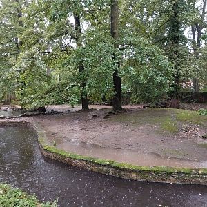 Western Pygmy Hippo enclosure