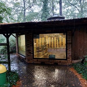 Western Pygmy Hippo building