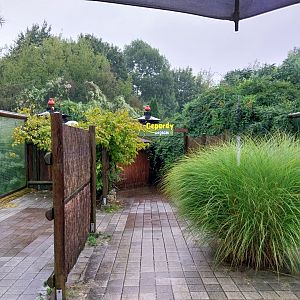 South African Cheetah enclosure