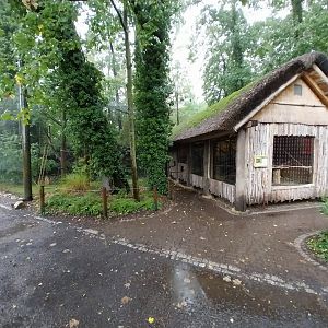 Black lemur enclosure