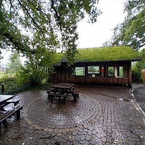 Red ruffed vari house