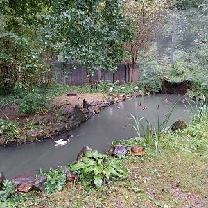 Waterfowl walk-through aviary