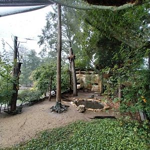 African spoonbill aviary