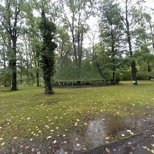 Manchurian crane aviary