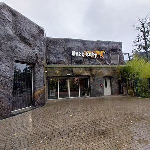 Carnivore House (Siberian tiger and Southwest African lion)