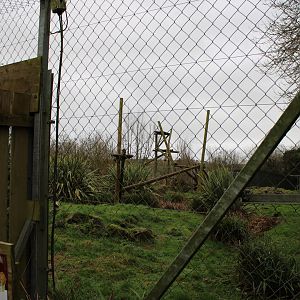Old Canada Lynx Enclosure